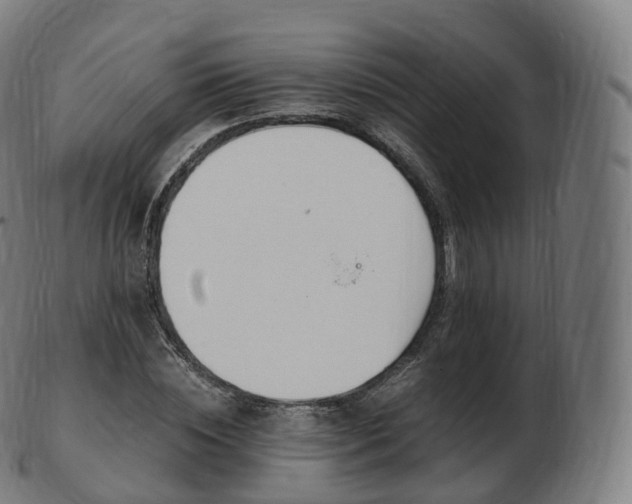 X0000103330828200809121208