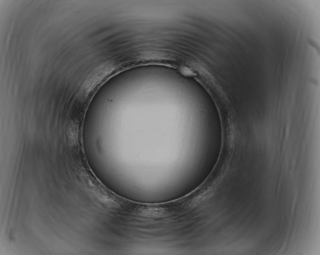 X0000103330833200809121208