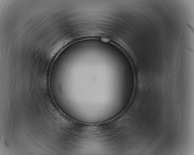 X0000103330834200809121208