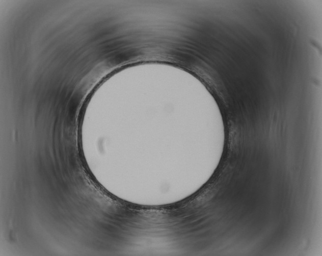 X0000103330836200809121208