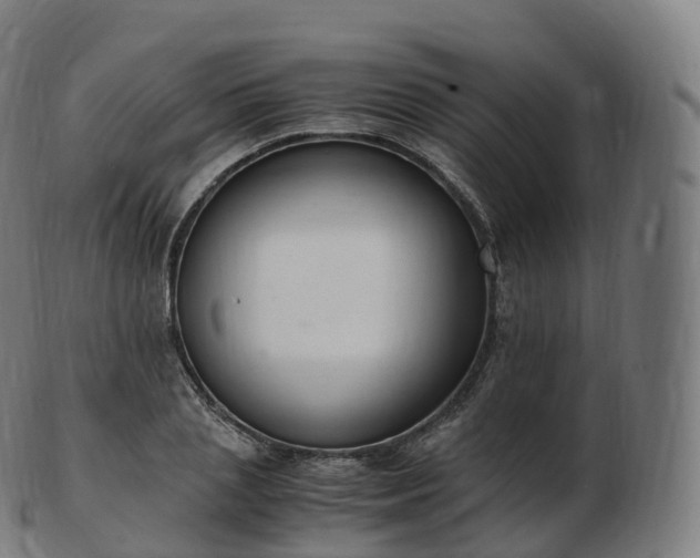 X0000103330837200809121208