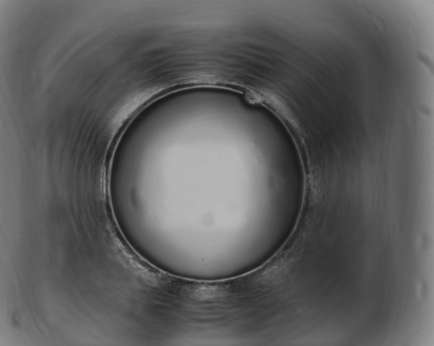 X0000103330839200809121208