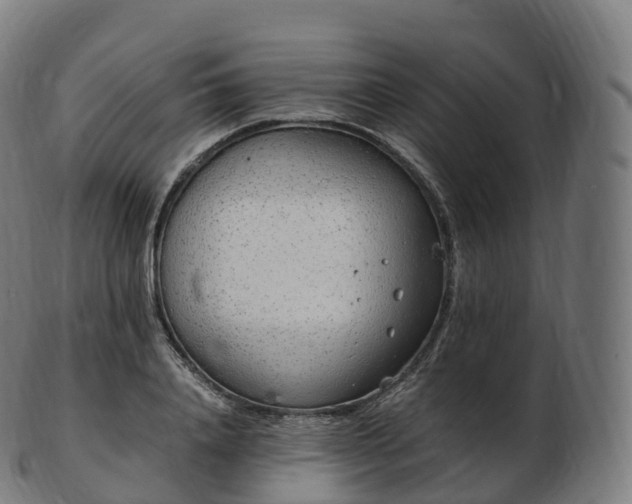 X0000103330840200809121208