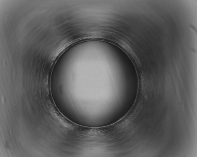 X0000103330842200809121208