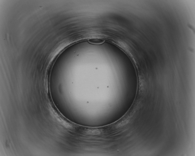 X0000103330843200809121208