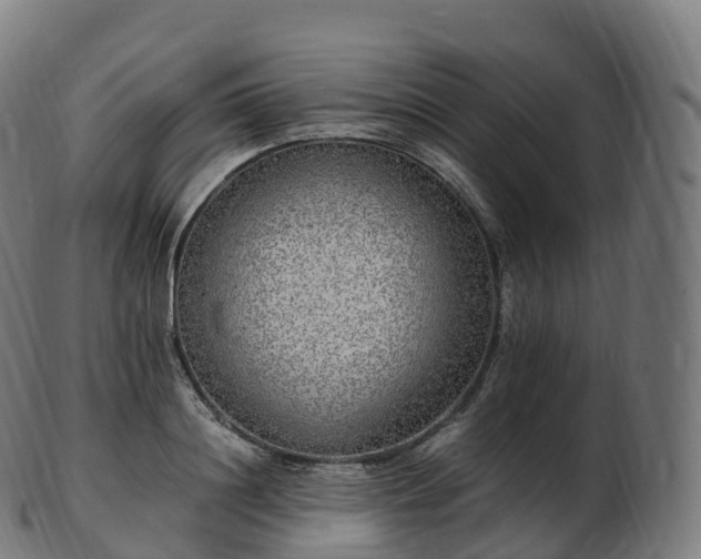 X0000103330844200809121208