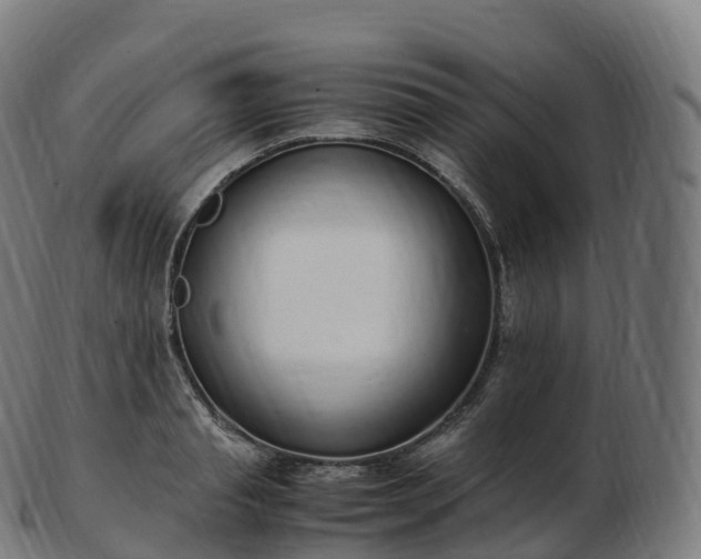 X0000103330845200809121208