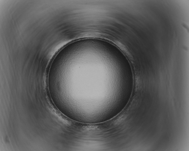 X0000103330846200809121208