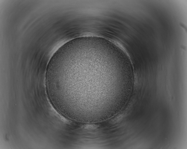 X0000103330847200809121208