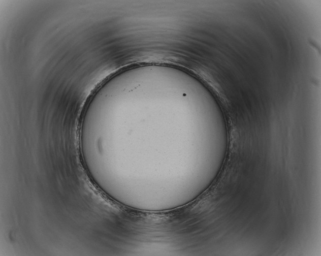 X0000103330848200809121208