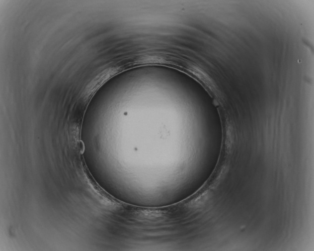 X0000103330849200809121208