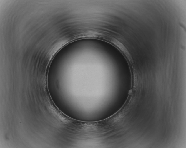 X0000103330850200809121208