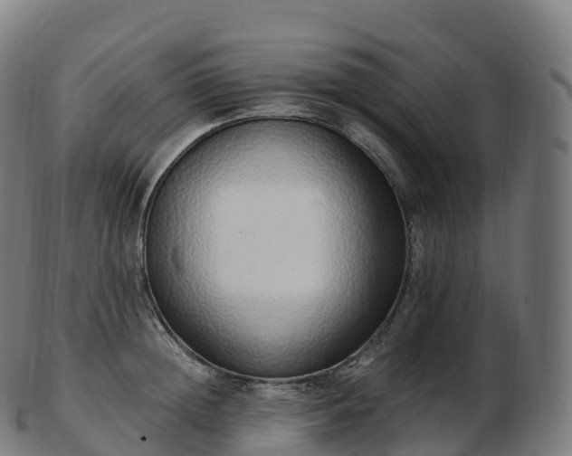 X0000103330852200809121208