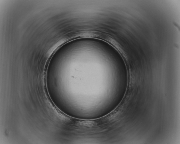 X0000103330853200809121208