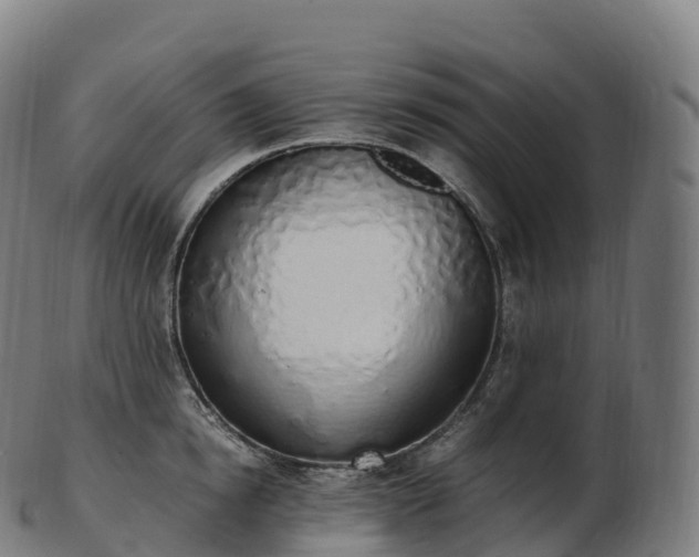 X0000103330854200809121208