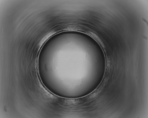 X0000103330855200809121208