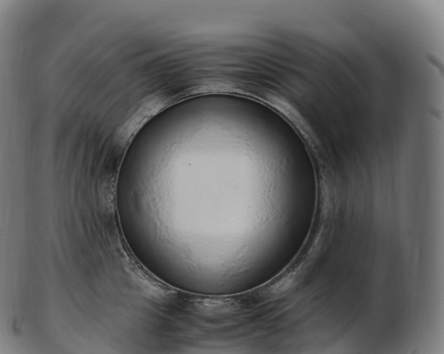 X0000103330857200809121208