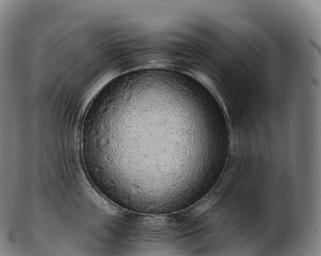 X0000103330859200809121208