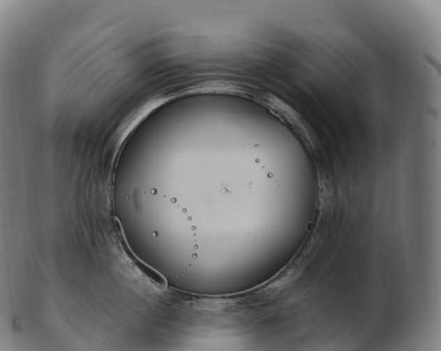 X0000103330860200809121208