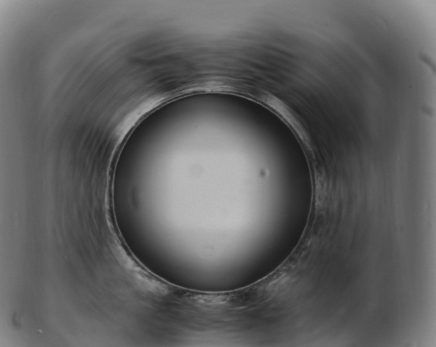 X0000103330861200809121208