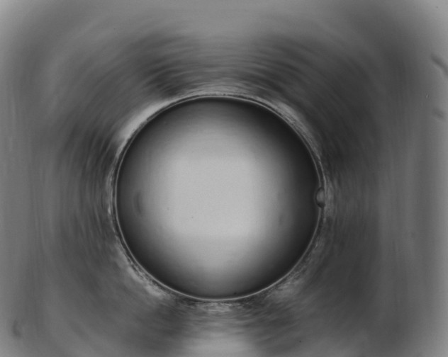 X0000103330862200809121209