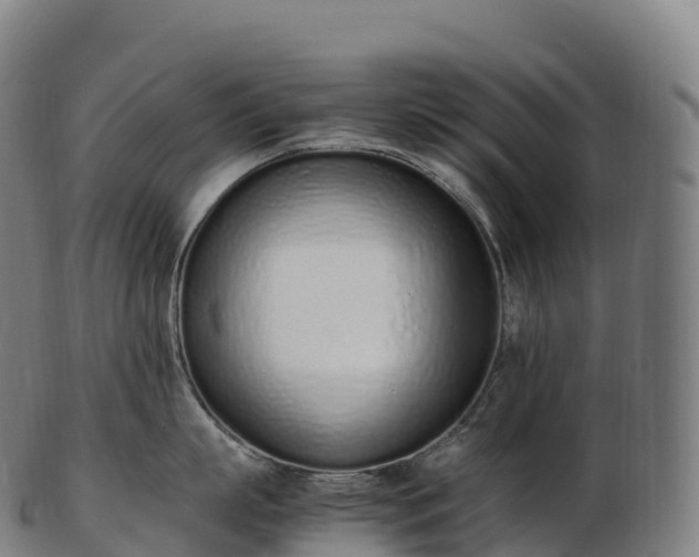 X0000103330863200809121209