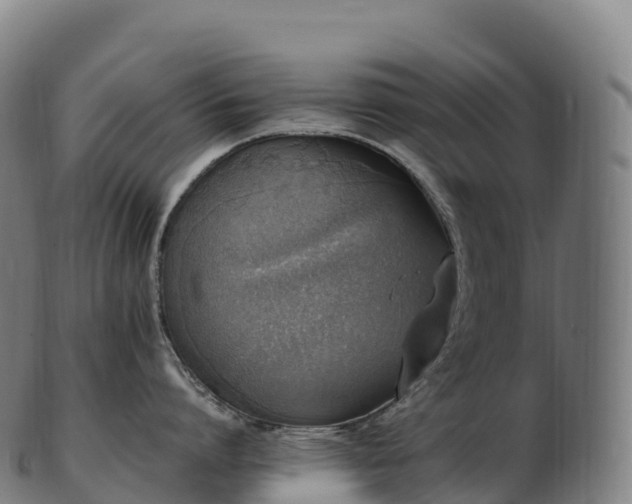 X0000103330864200809121209