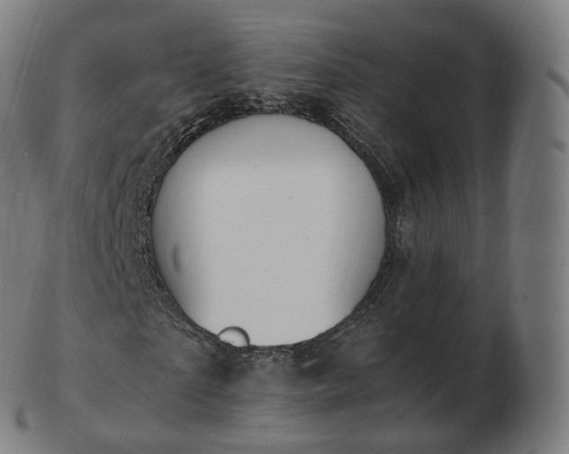 X0000103330865200809121208