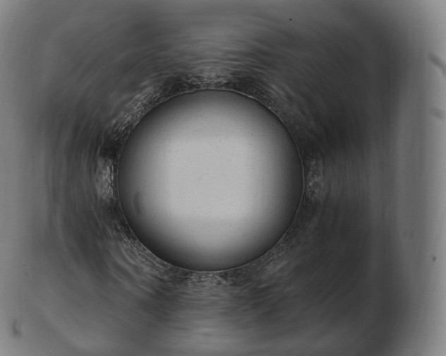 X0000103330866200809121208