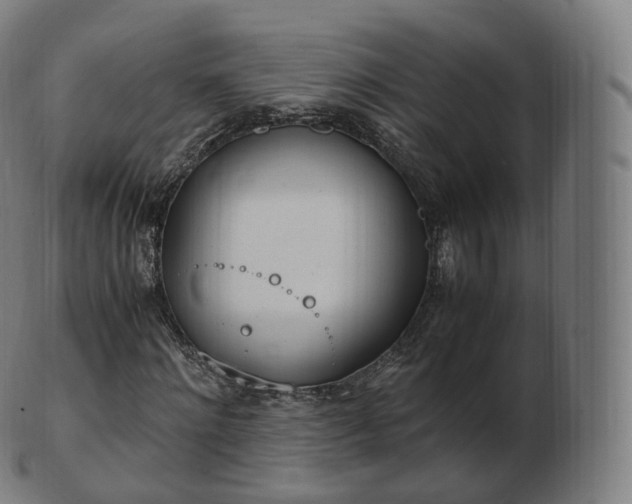 X0000103330868200809121208