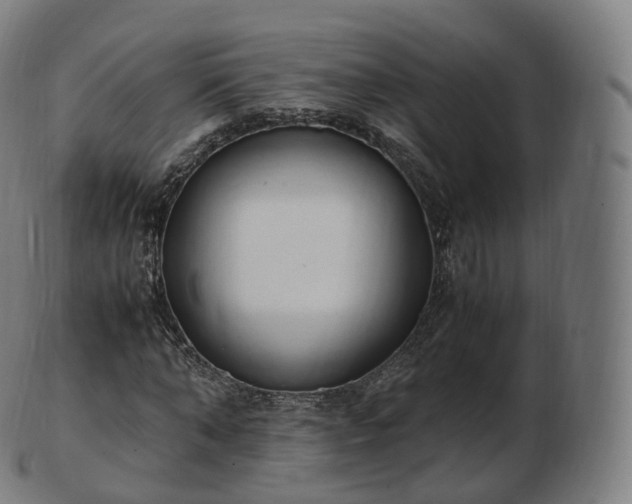 X0000103330870200809121208