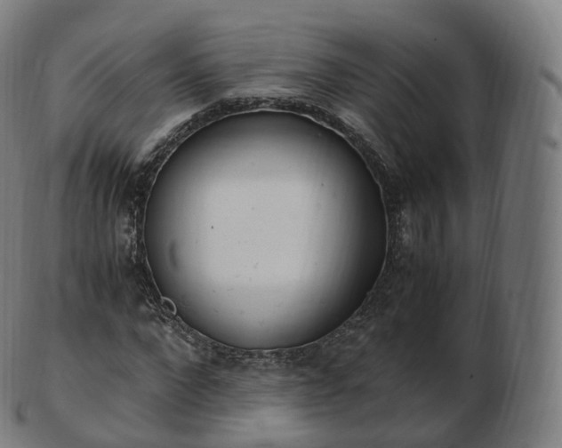 X0000103330872200809121208