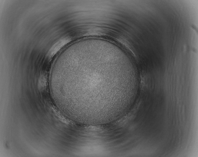 X0000103330874200809121208