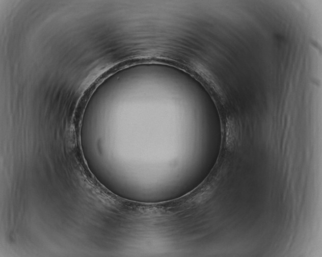 X0000103330876200809121208