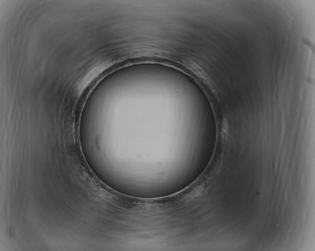 X0000103330877200809121208