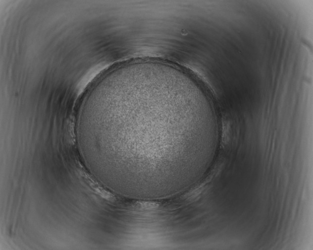 X0000103330878200809121208