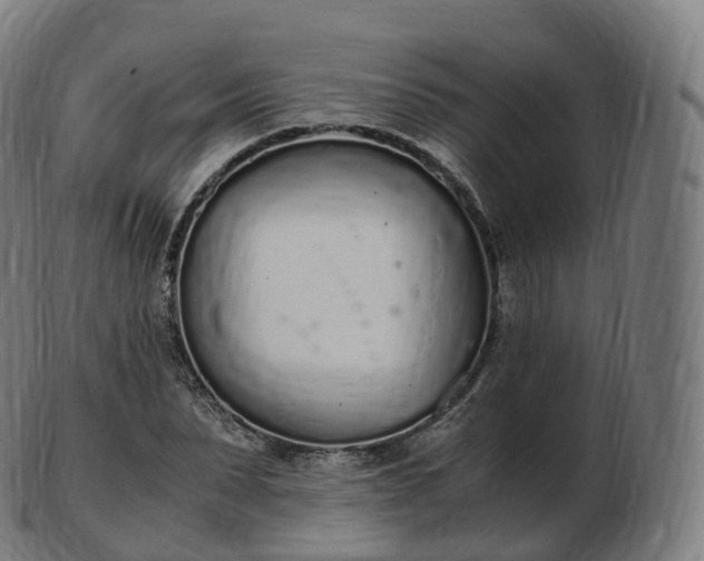 X0000103330879200809121208