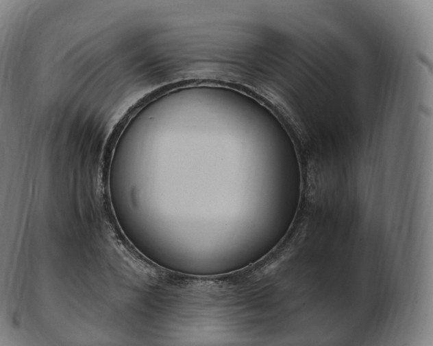 X0000103330880200809121208