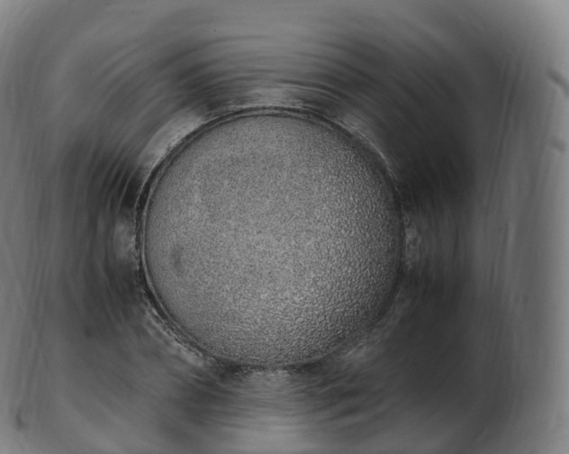 X0000103330882200809121208