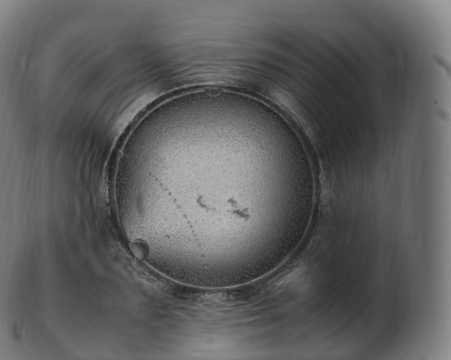 X0000103330883200809121208