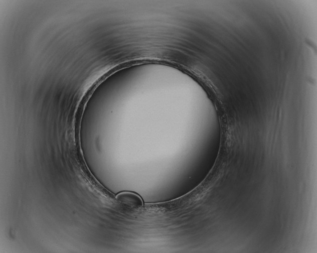 X0000103330884200809121208