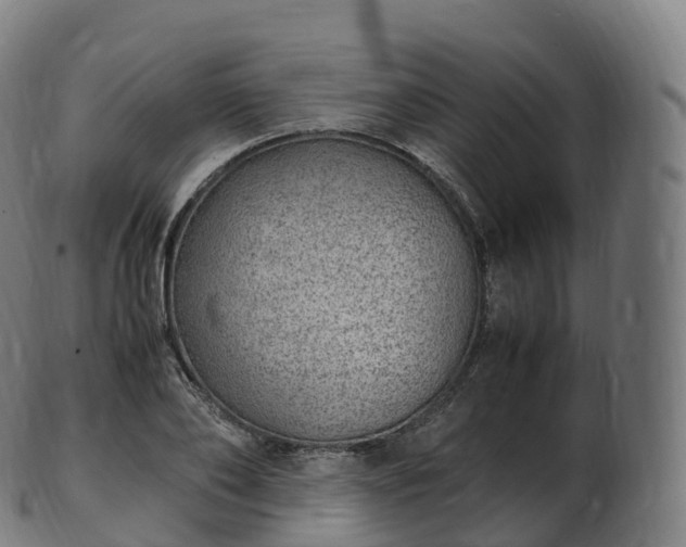 X0000103330886200809121208