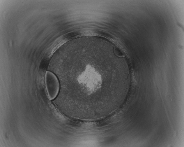 X0000103330889200809121208