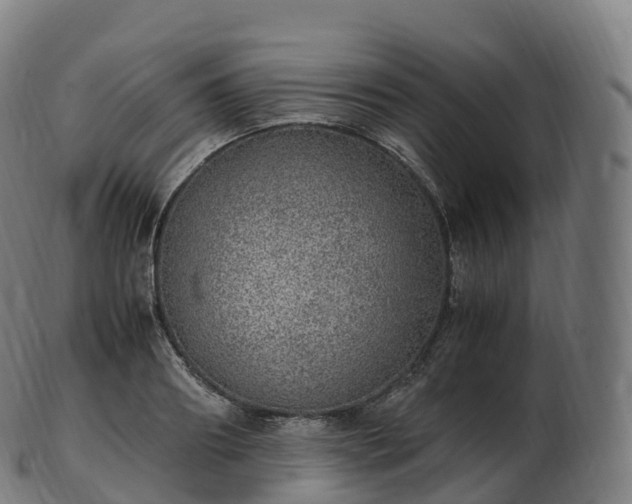 X0000103330890200809121208