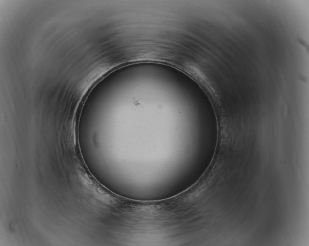 X0000103330892200809121208