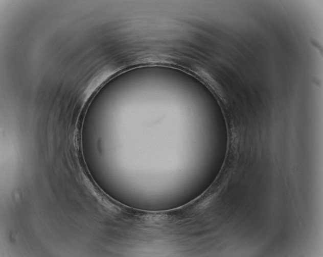 X0000103330893200809121207