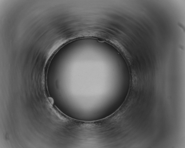 X0000103330894200809121207