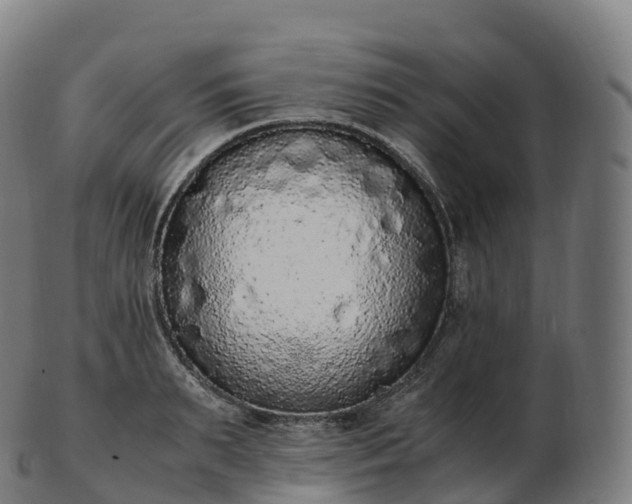 X0000103330895200809121207