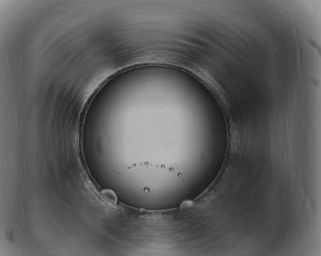 X0000103330896200809121207