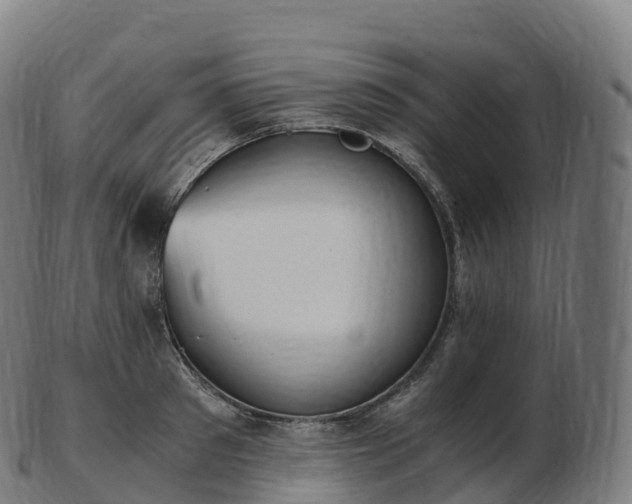 X0000103330897200809121207